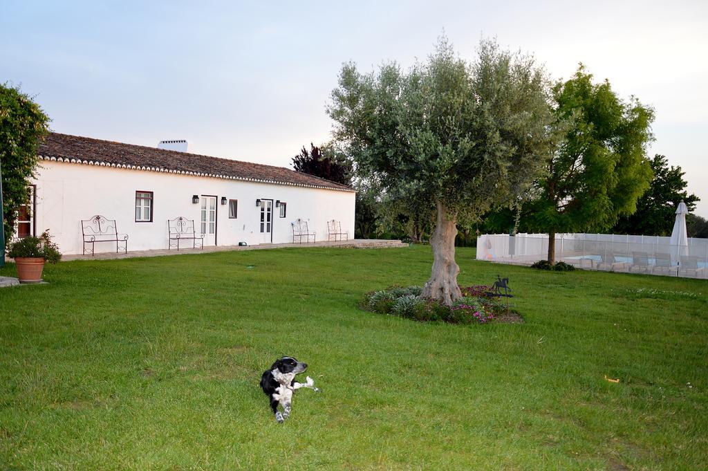 הוילה Alter do Chão Monte Da Boavista - Country Family House מראה חיצוני תמונה